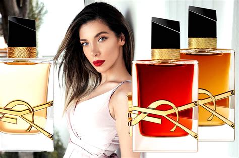 ysl perfume clone|ysl libre perfume.